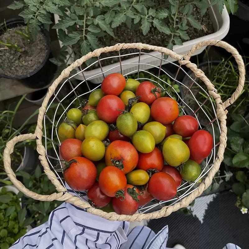 Handwoven Wire Storage Basket with Handle